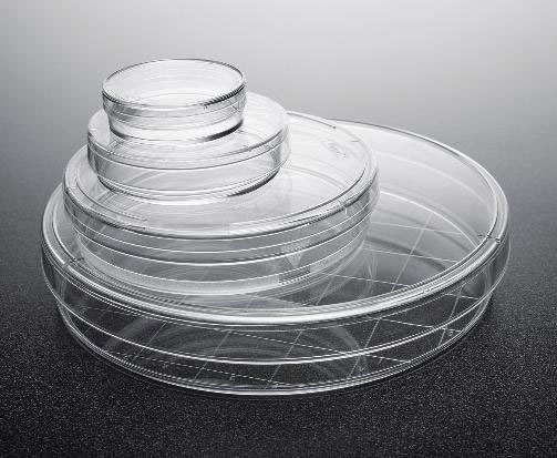 پتری دیش کورنینگ ( Corning )
