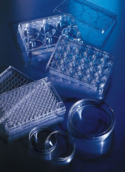 پلیت کورنینگ ( Corning )