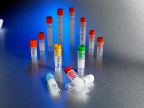 کرایوویال کورنینگ ( Corning )
