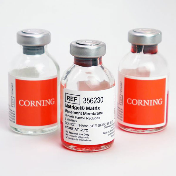 ماتریژل کورنینگ - Corning Matrigel