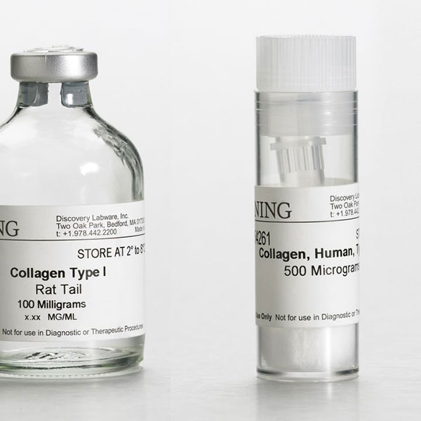 کلاژن کورنینگ  -  Corning Collagen