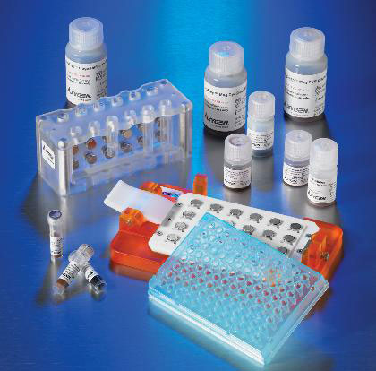 کیت های استخراج مغناطیسی آکسیژن - Axygen AxyPrep Magnetic Bead Purification Kits