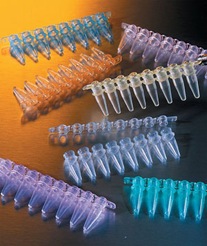 استریپ تیوب  PCR کورنینگ (Corning)