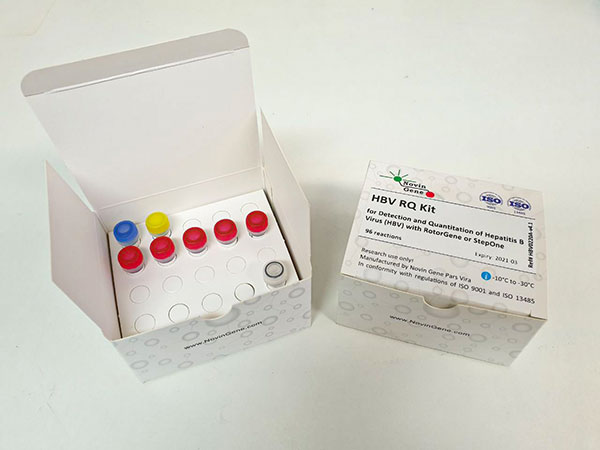 کیت تشخیص و کمیت سنجی ویروس هپاتیت ب نوین ژن - HBV RQ Kit