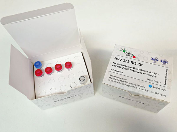کیت تشخیص و کمیت سنجی ویروس هرپس سیمپلکس تیپ 1 و 2 - HSV RQ Kit