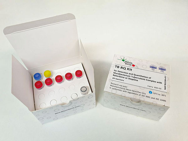 کیت تشخیص و کمیت سنجی مایکوباکتریوم توبرکلوزیس نوین ژن -  TB RQ Kit