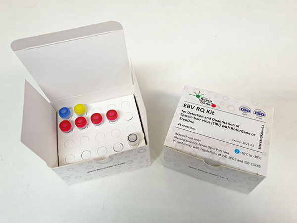 کیت تشخیص و کمیت سنجی DNA ویروس اپشتین بار نوین ژن - EBV RQ Kit