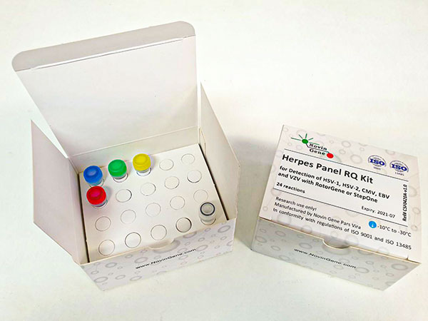 کیت تشخیص DNA ویروس های CMV, HSV-1, HSV-2, EBV, VZV نوین ژن - Herpes RQ Kit