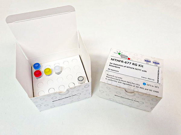 کیت تشخیص جهش MTHFR (C677T) نوین ژن - MTHFR-677 RG Kit