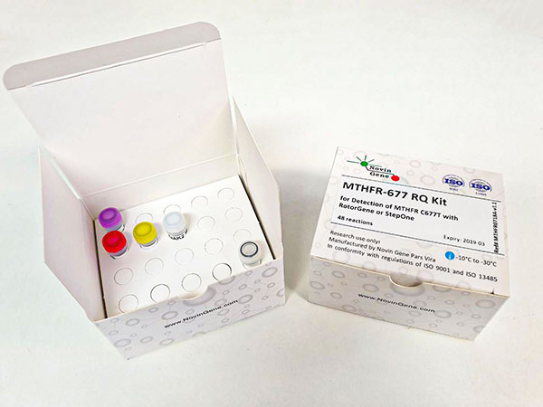 کیت تشخیص جهش MTHFR (C677T) نوین ژن - MTHFR-677 RQ Kit