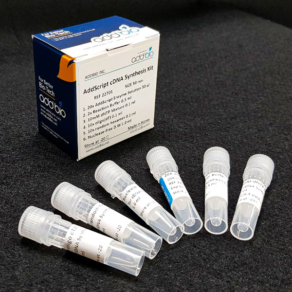 کیت سنتز AddScript cDNA محصول کمپانی AddBio کره جنوبی