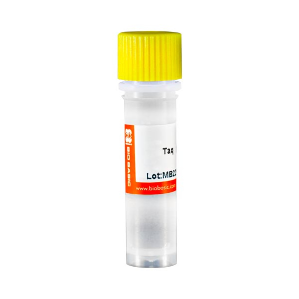 آنزیم TAQ DNA POLYMERASE برند BioBasic محصول ژاپن