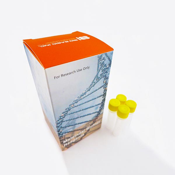 مسترمیکس ریل تایم پی سی آر Green-2-Go qPCR برند BioBasic محصول کانادا