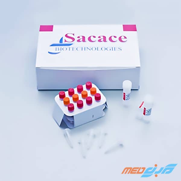 کیت تشخیص کیفی سیتومگالوویروس (CMV) ریل تایم پی سی آر برند ساکاچه (Sacace) محصول ایتالیا