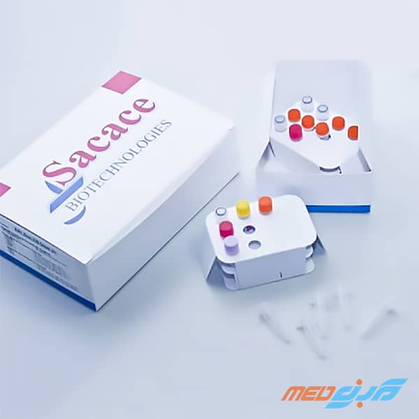 کیت تشخیص کمی سیتومگالوویروس (CMV) ریل تایم پی سی آر برند ساکاچه (Sacace) محصول ایتالیا
