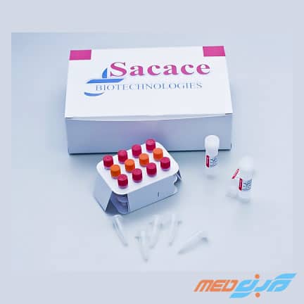 کیت تشخیص کمی و کیفی 14 تایپ پرخطر ویروس HPV ریل تایم پی سی آر برند ساکاچه (Sacace)