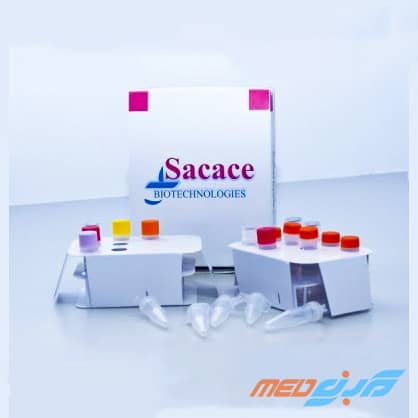 کیت تشخیص کمی و کیفی ویروس اپشتین بار EBV ریل تایم پی سی آر برند ساکاچه (Sacace)