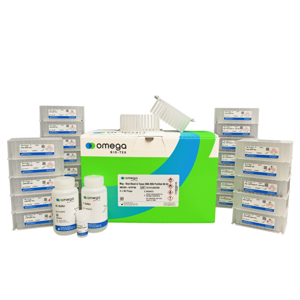 کیت تشخیص جهش V600E ژن BRAF- BRAF gene V600E mutation detection kit